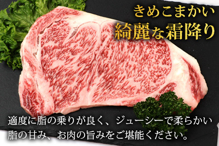 宮崎県産 椎葉牛 サーロインステーキ 200ｇ×2枚 計400g TK-84 [宮崎県 椎葉村 牛肉 椎葉牛 牛 うし ぎゅう ぎゅうにく 肉 お肉 にく おにく 精肉 せいにく ステーキ サーロイン
