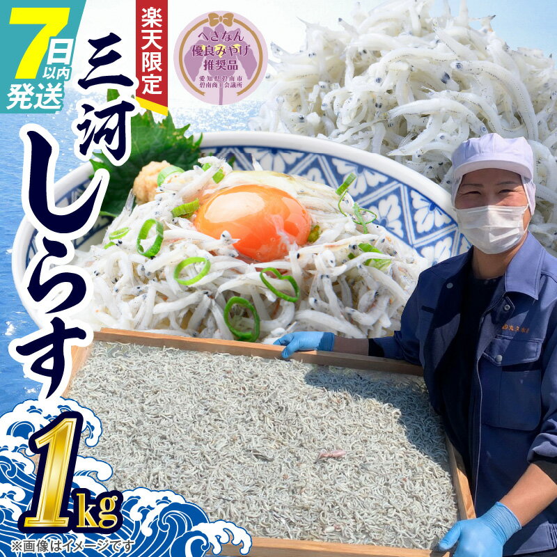 【ふるさと納税】楽天限定 しらす しらす干し 三河しらす 1kg へきなん優良みやげ推奨品 魚介類 国産海の幸 ご飯のお供 おつまみ しらす丼 サラダ ギフト 贈答用 お歳暮 お取り寄せ お取り寄せグルメ 食品 愛知 送料無料