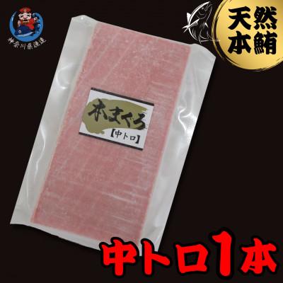 ふるさと納税 三浦市 神奈川県漁連　天然本マグロ　中トロサク