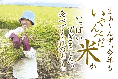 【数量限定】【令和7年産新米キャンペーン】特別栽培米つや姫 5kg(5kg×1袋) 　うまい庄内