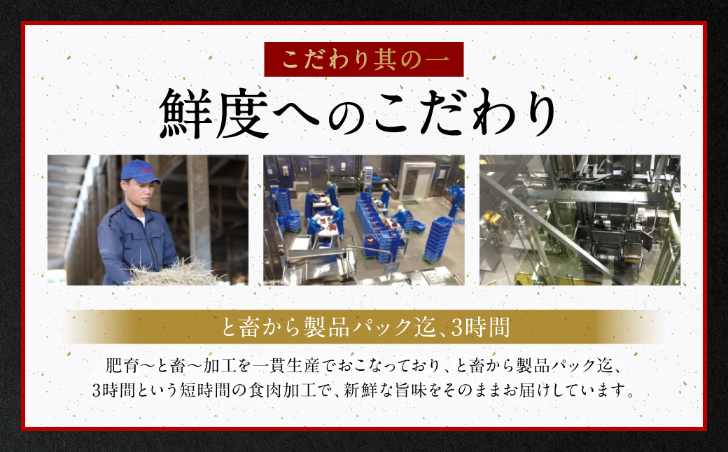 鮮馬刺しバラエティ3種セット（桜うまトロ・ユッケ・赤身スライス）馬刺し専用タレ付き 馬肉 冷凍 個装 パック 詰め合わせ