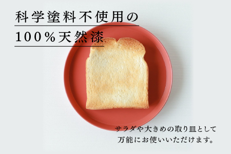 【RIN&CO.】越前硬漆 平皿M / 刷毛目技法 軽く丈夫な漆塗りの器＜越前漆器＞インディゴ（I-02）