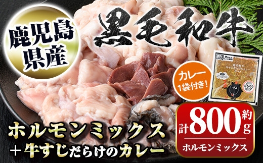 
            A91031 黒毛和牛ホルモンミックス(計800g)＋黒毛和牛牛すじだらけのカレー(1袋)セット！ 鹿児島 国産 牛肉 黒毛和牛 牛肉専門店 和牛日本一 惣菜 おかず 牛すじ ホルモン ミックス レトルトカレー ご当地カレー【新村畜産】
          