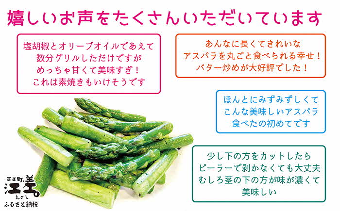 【早期予約：4月～順次発送】北海道江差町産 アスパラガス 1kg　L～2Lサイズ　朝採り　農家直送　太い！甘くて、ジューシー！　食べ応えばつぐん！　グリーンアスパラガス