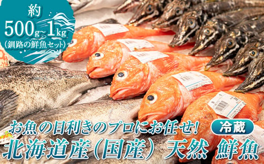 
            お魚の目利きのプロにお任せ！北海道産（国産） 天然 鮮魚 約500g～1kg（釧路の鮮魚セット）産地直送 冷蔵 冷蔵便 スピード発送 刺身 セット 鮮魚セット 鮮魚ボックス  北海道 釧路町 釧路超 特産品
          