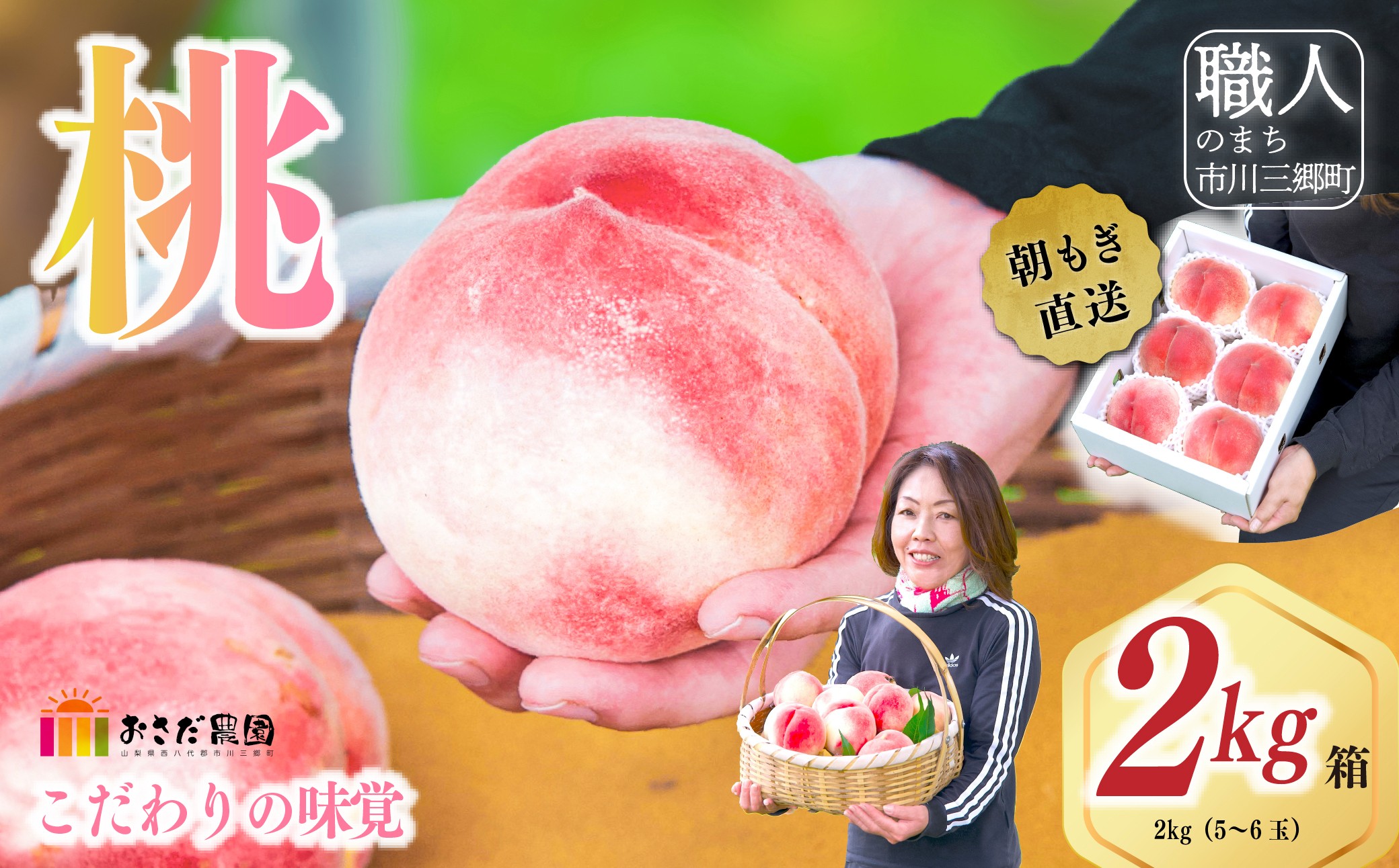 
                  ☆クール便発送☆ 朝もぎ直送！山梨の桃  5~6玉　2kg箱　化粧箱【2027年7月上旬から発送】おさだ農園 ｜ 人気 新鮮 産地直送 採れたて 果物 くだもの フルーツ 甘い 糖度 旬 モモ もも デザート おやつ トッピング 山梨県 市川三郷町 市川三郷 [5839-0171]
                