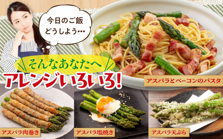 【2026年5月中旬以降順次発送】 グリーンアスパラガス 1kg （L以上/露地栽培）《喜茂別町》【久保田農園】 アスパラ アスパラガス グリーンアスパラ 冷蔵 冷蔵配送 野菜 春野菜 季節の野菜[A
