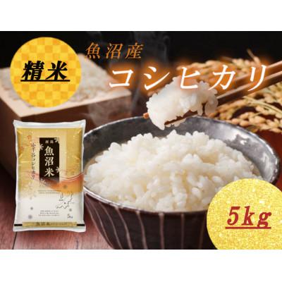 ふるさと納税 小千谷市 雪室貯蔵　魚沼産コシヒカリ 精米 5kg