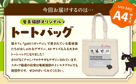 【 奄美 の 保護猫支援 （ ワクチン代 ）】 ＋ A4 トートバッグ A071-013 バッグ 鞄 カバン かばん A4トートバッグ アマミノクロウサギ 保護猫プロジェクト cafeCOVOTANA