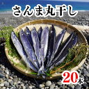 【ふるさと納税】さんま丸干し　20本　魚作商店3代目の丸干し製法