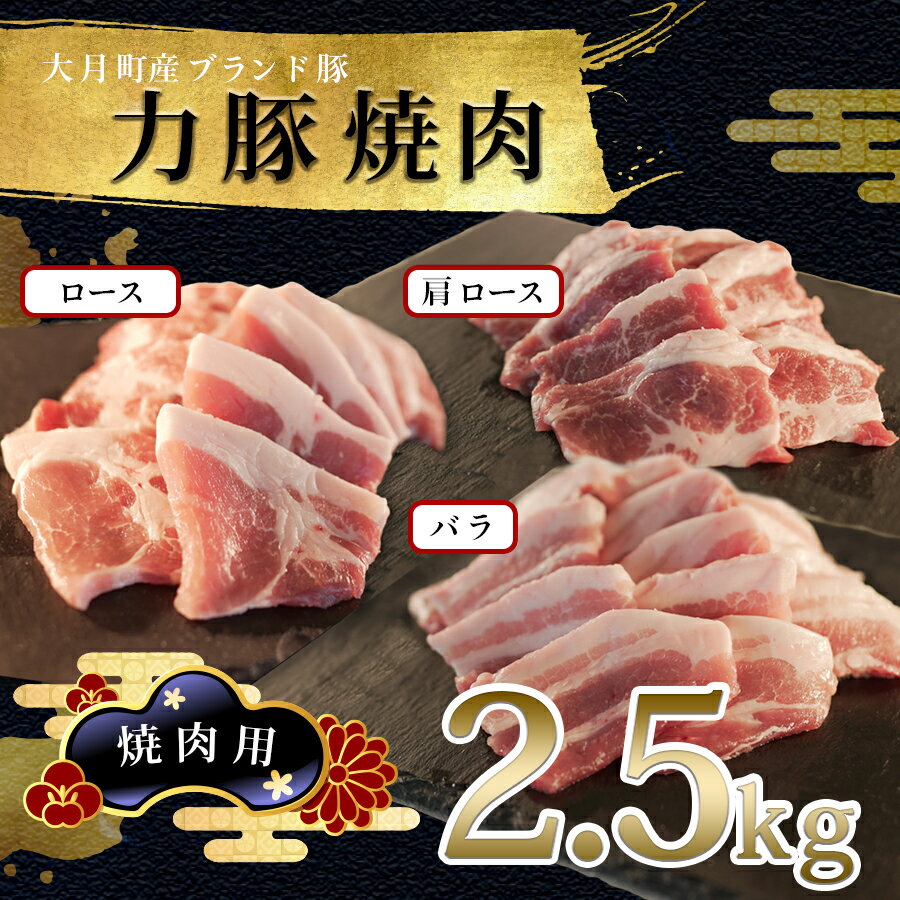 【ふるさと納税】国産 豚肉 焼肉 3種 2.5kgセット｜バラ900g (300g×3P) 肩ロース600g (200g×3P) ロース1kg ( 200g× 5P) 力豚 小分け ブランド豚 焼き肉 BBQ 真空 冷凍 ポーク お取り寄せ 配達日指定可 おすすめ 高知県