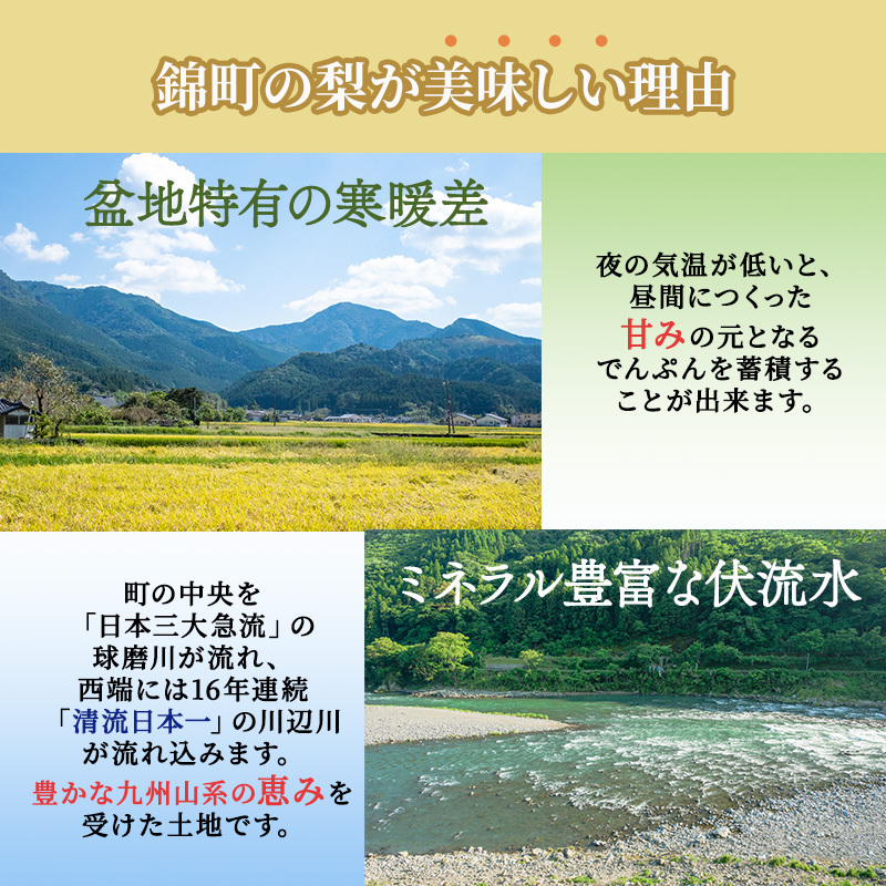 定期便 2回 先行予約 梨 清流錦 あきづき 9月 3kg 新興 10月 5kg