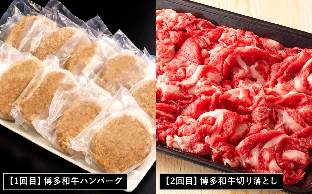 【6ヶ月定期便】焼肉の龍園 博多和牛 定期便 セット ハンバーグ 切り落とし 焼き肉 ロース カルビ 国産