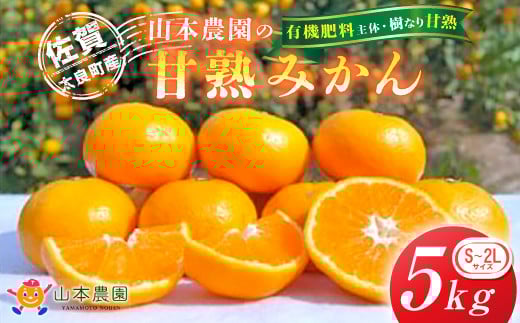
            L-13 山本農園の甘熟みかん5kg　みかん ミカン 蜜柑 温州みかん 完熟みかん 甘熟 柑橘 有機栽培 国産 佐賀県産 太良町 こだわり 贈答品 産地直送 詰め合わせ
          