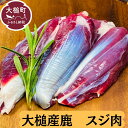 【ふるさと納税】ジビエ 鹿肉 スジ肉 200~400g 岩手県大槌町 国産 大槌ジビエ 大槌鹿 人気 鹿 肉 シカ しか 冷凍 煮込み 料理 フレンチ 酒 つまみ ご飯のお供 送料無料 MOMIJI 岩手県 いわて iwate 三陸 大槌