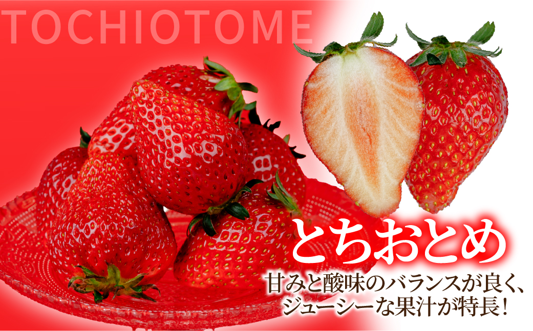 【先行受付：3月以降発送】いちご 鈴木ファームの完熟＆朝摘み とちおとめ レギュラーサイズ 約270g × 4パック 合計 約1080g | いちご イチゴ 苺 とちおとめ 完熟 果物 甘い あまい 