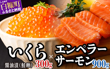 醤油漬鮭いくら 300g(100g×3パック)×訳あり エンペラーサーモン 900gのセット_I026-1651