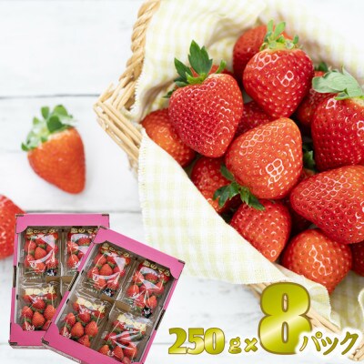 先行予約!2026年2月より順次発送 いちご 恋のぞみ約2kg(250g×8P)【JA熊本うき】【配送不可地域：離島】【1659532】