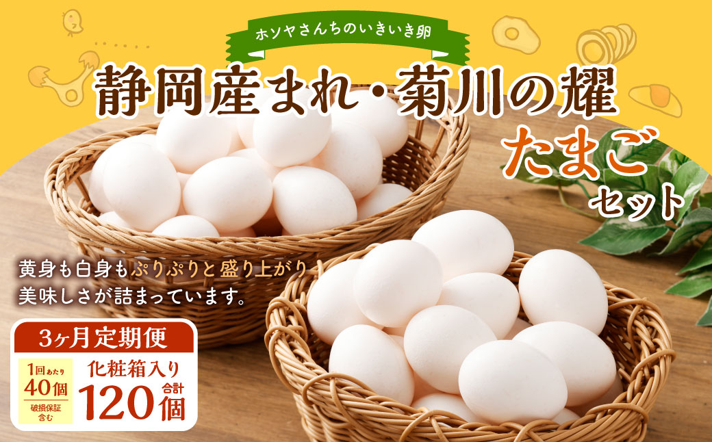 【 3ヶ月 定期便 】「 ホソヤさんちのいきいき卵 」40個割れ補償 5個含む （合計 120個） セット 静岡産まれ 菊川の耀たまご  化粧箱入 たまご 卵 玉子 生卵 静岡 国産