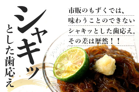 石垣島産 八重山地方で育った養殖もずく10パック・内容量500g×10 合計5kg【 沖縄県 石垣市 養殖 水雲 海藻 もずく フコイダン 塩もずく 太もずく 】SI-72