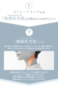 MyComfort ネックピロー 1個 〜ストレッチモデル〜 ローズベージュ