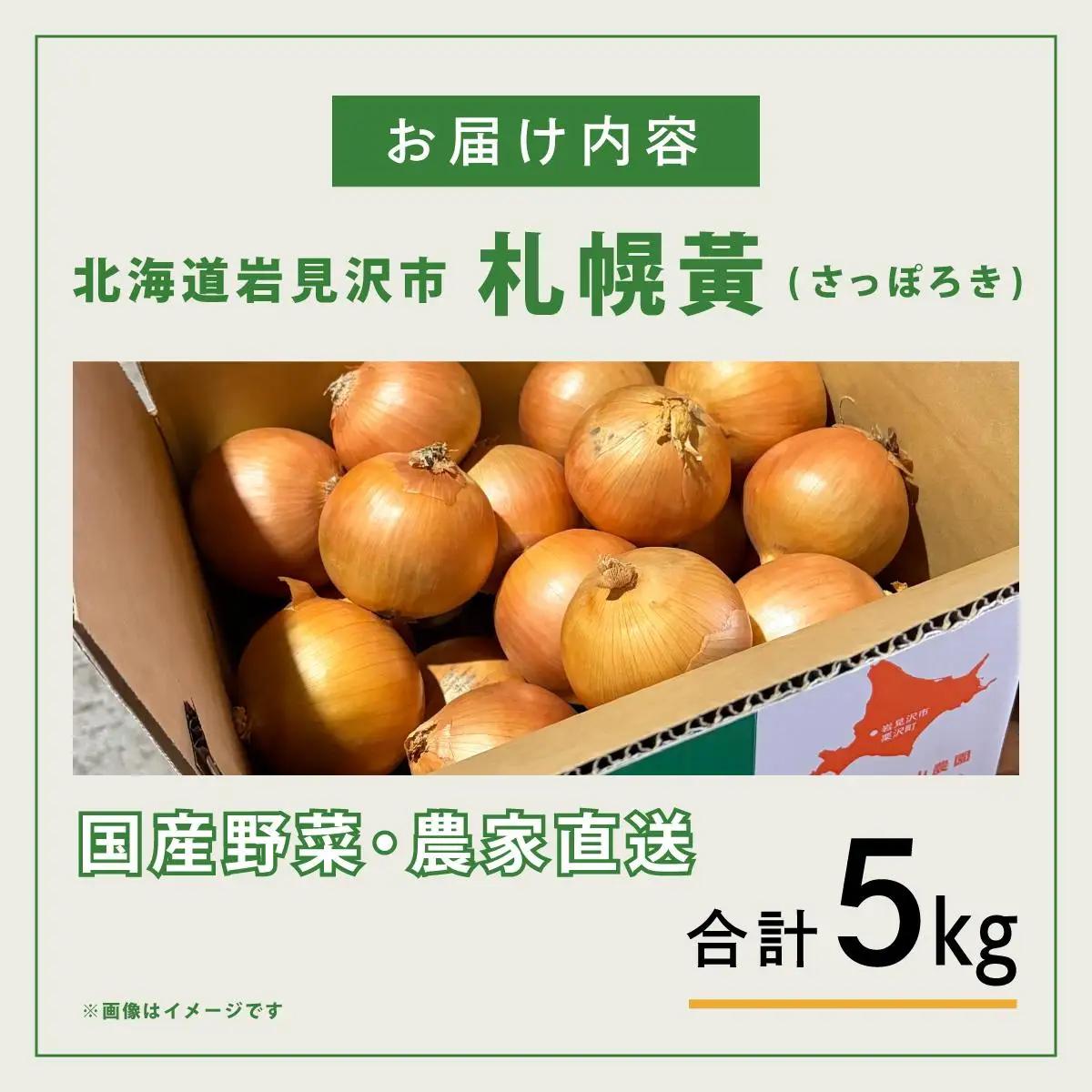 【先行予約】幻の玉ねぎ！札幌黄（さっぽろき）5kg [a168-010] 
