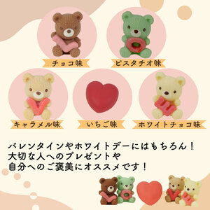 クマ チョコレート 5個入り×3箱セット チョコレート