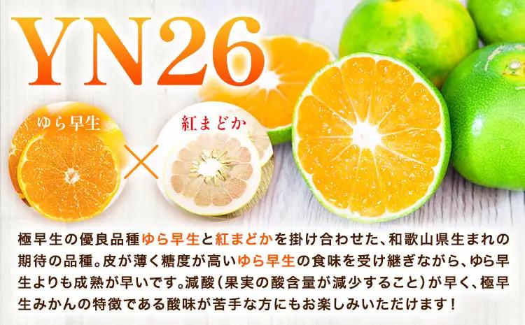 みかん 極早生みかん YN26 約10kg