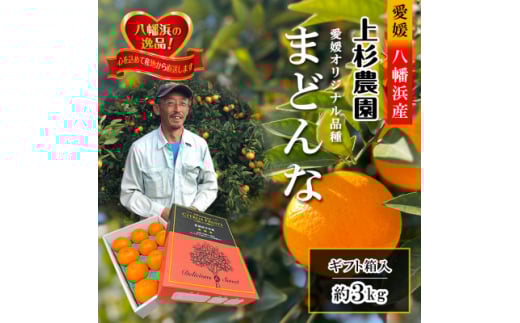 ギフト対応化粧箱入・上杉農園のぷるぷる新食感!「マドンナ」約3kg＜C39-16＞【1251804】