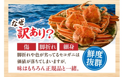 訳あり セコガニボイル（冷凍）7匹 【令和9年2月お届け予定】 カニ かに 蟹 松葉がに せこがに せいこがに メスガニ 外子 内子 卵 カニ味噌 濃厚 急速冷凍 浜茹 数量限定 産地直送 鮮度抜群 
