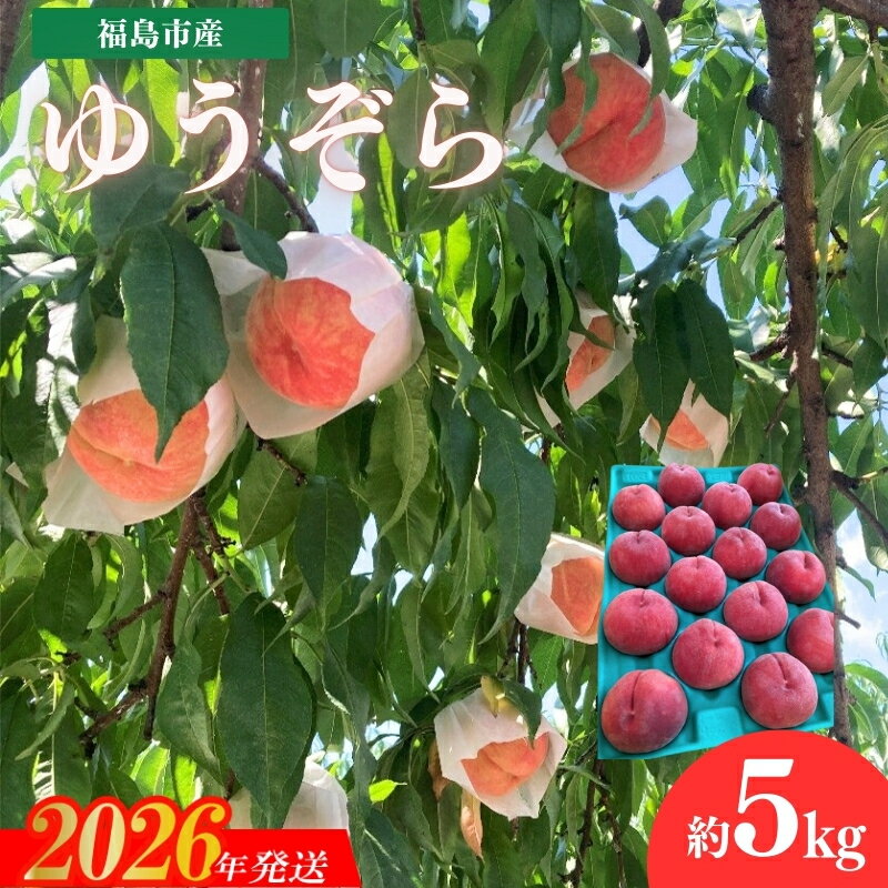 【ふるさと納税】No.3267 安斎果樹園 福島のもも 「ゆうぞら」 約5kg（16玉～18玉）【2026年発送 先行予約】