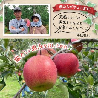 【2025年11月下旬発送】【訳あり】りんご5kg青森産家庭用完熟サンふじ＆色々ミックス