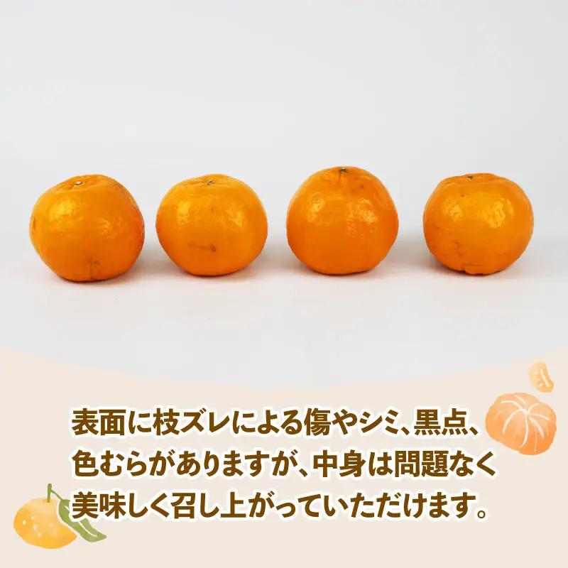みかん 訳あり ポンカン 約 5kg スーパー山田屋 先行予約 ぽんかん 甘い 果物 くだもの フルーツ 柑橘 mikan 蜜柑 愛媛蜜柑 愛媛みかん わけあり サイズ 不揃い 産地直送 数量限定 国