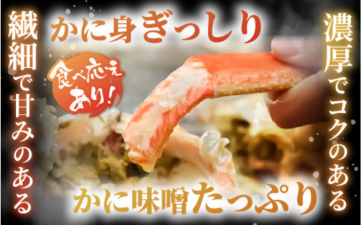 【先行予約】【訳あり】 茹で「越前ズワイ蟹」 中 3杯 脚折れ 【2026年11月発送分】【わけあり ワケアリ カニ かに 蟹 越前ガニ 越前蟹 ずわいがに ズワイガニ ズワイ ボイルガニ 姿 ボイル 冬の味覚 冷蔵 国産 県産】 [O-1402_11]
