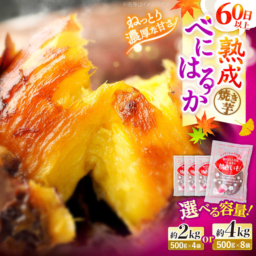 【ふるさと納税】【ねっとりとろける甘さ】 熟成紅はるか 焼き芋 約2kg or 約4kg＜大地のいのち＞ [CDA012] 長崎 西海市 さつまいも 芋 サツマイモ 焼きいも 焼芋 甘い 紅はるか