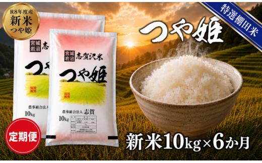 【 令和8年産 】新米 特選棚田米 つや姫 定期便 10kg 6ヶ月 おこめ お米 白米 精米 コメ ライス ごはん ご飯 国産米 棚田米 ブランド米 特A ツヤ もちもち 高級 おべんとう 弁当 おにぎり 甘み コク 食味 毎日の食卓 冷めてもおいしい 志賀沢米 岩沼産米