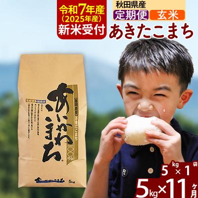 ふるさと納税 北秋田市 令和7年産 新米受付《定期便11ヶ月》あきたこまち 5kg【玄米】|foap-20311