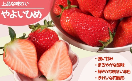 いちご 冷凍 とちおとめ やよいひめ 2kg いちご