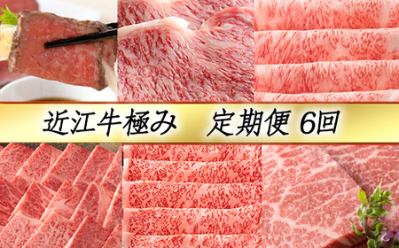 近江牛 定期便 6か月 6回 カネ吉山本 極み定期便 -慶- Y133W 牛肉 ローストビーフ ステーキ すき焼き 焼肉