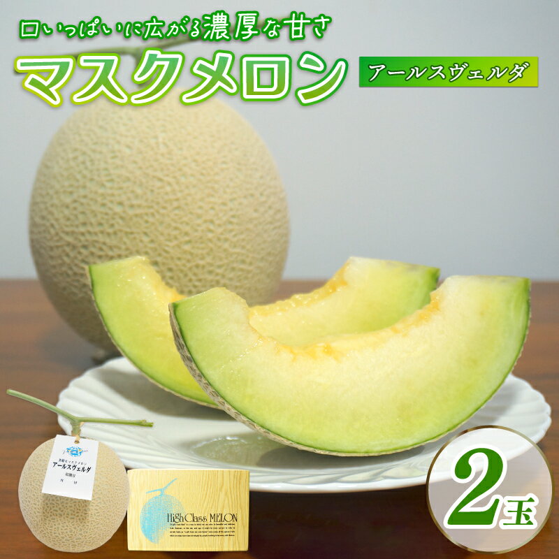 【ふるさと納税】 【2026年9月中旬発送開始】 マスクメロン 2玉 メロン フルーツ ギフト 果物 夏 季節限定 甘い 贈り物 お取り寄せ 産地直送 国産 スイーツ デザート 贈答用 プレゼント 人気 お中元 数量限定 先行予約 新発田ファーム 新潟県 新発田市 shibatafarm003