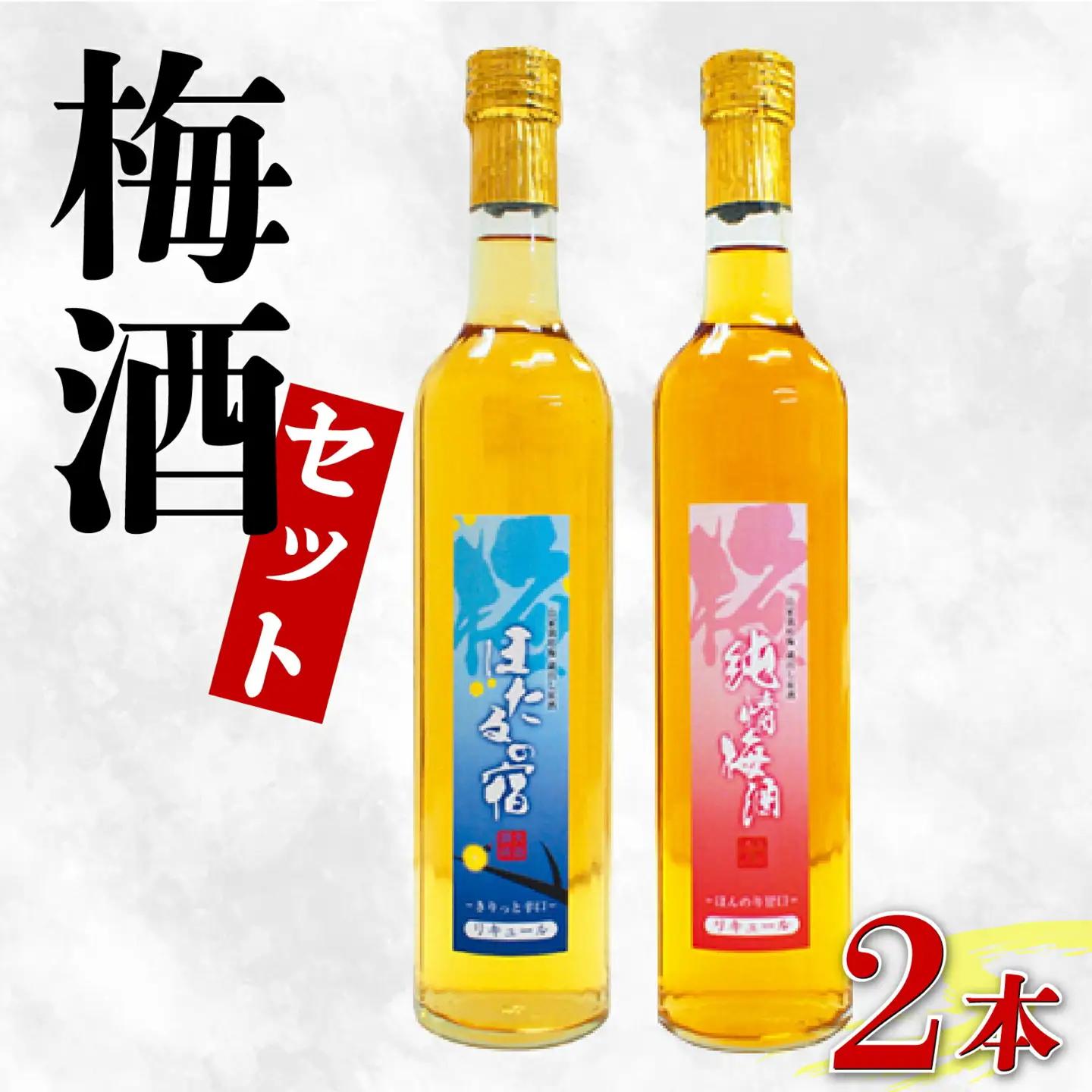 【 梅酒セット 】梅酒 飲み比べ 500ml 計 2本 
