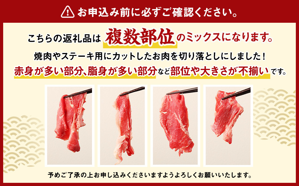 【3ヶ月定期便】豊後牛 切り落とし 1.2kg (600g×2) × 3回 牛肉 大分県産 国産 焼肉 ステーキ 霜降り