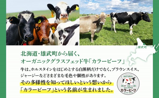 北海道雄武町産 きくっち有機スモークチーズ（80g×3個）