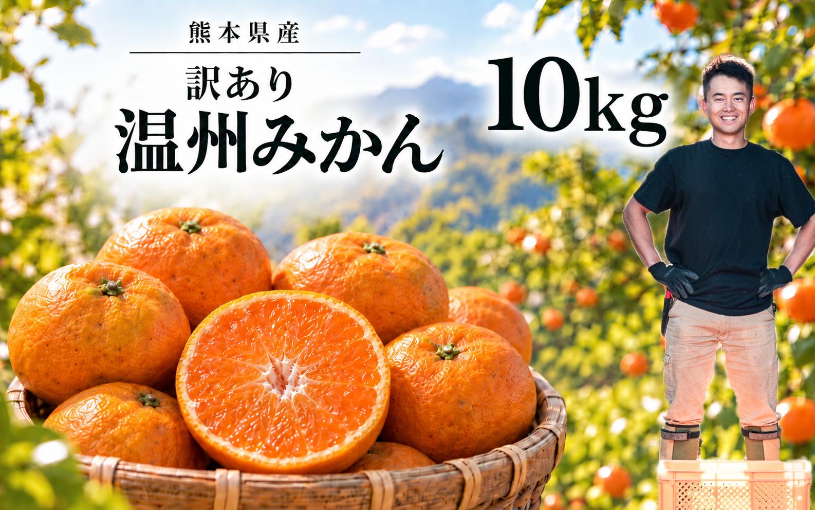 
                  訳あり 温州みかん箱込み10キロ 杉山農園 | フルーツ 果物 くだもの 柑橘 ミカン みかん 熊本県 玉名市
                