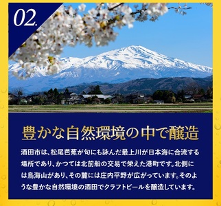 SA1998　【酒田トラディショナルビール】 クラフトビール Pale Ale　330ml×3本