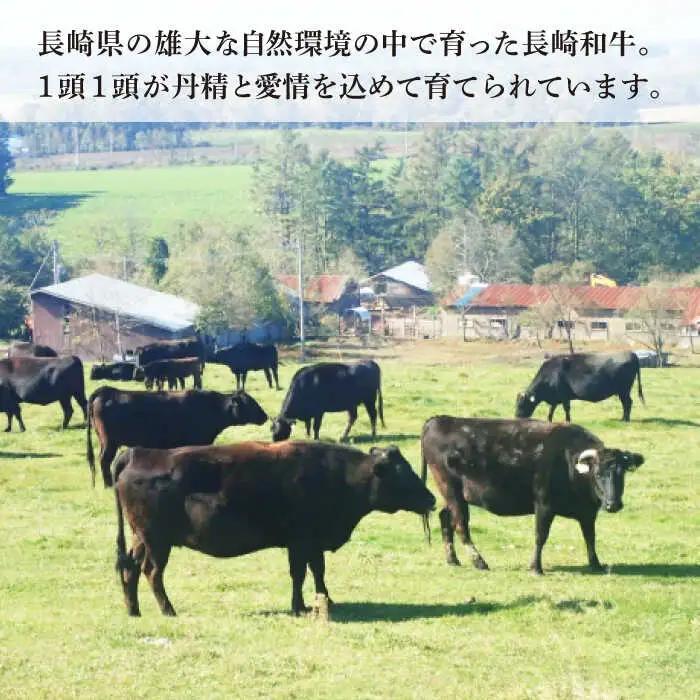 【希少部位ヒレ入り】特選赤身サイコロセット(ヒレ・モモ) 計360g(120g×3パック)【肉のあいかわ】[QAA001]