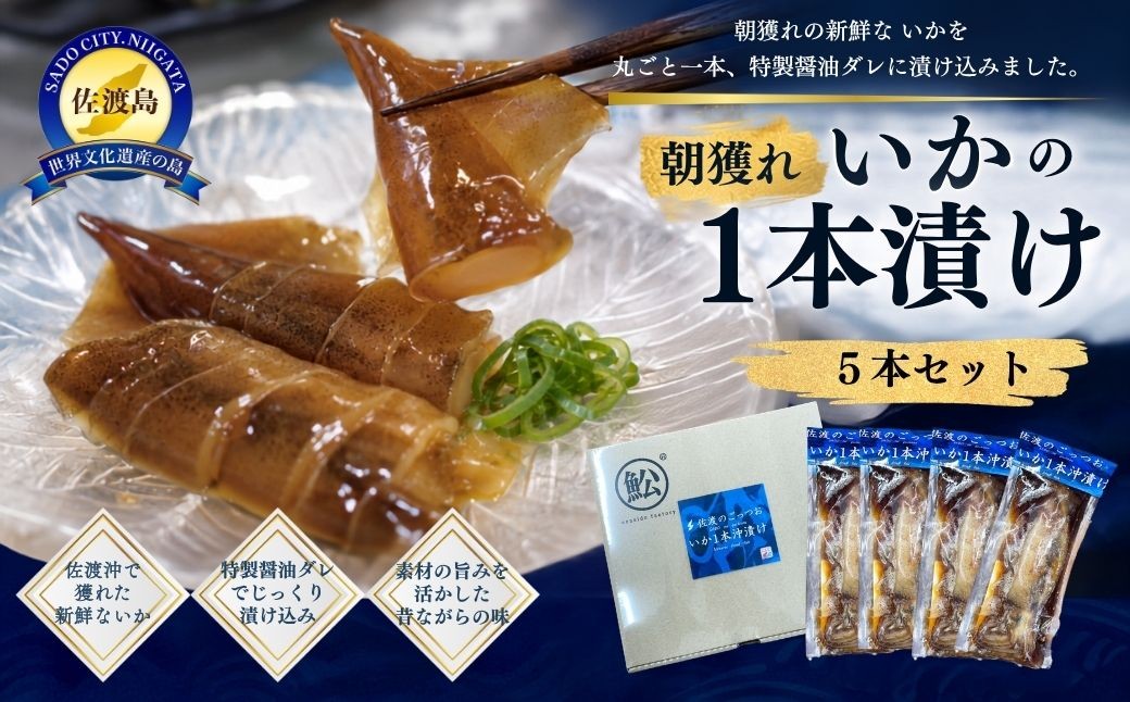 
                  【佐渡産 朝獲れ いかの1本漬け5本セット】醤油だれ漬け 冷凍 | 新潟県産いか 佐渡産いか 佐渡島産いか いか イカ 烏賊 一本漬け 醤油漬け しょうゆ漬け 活いか 海鮮 魚介 魚介類 おつまみ 酒の肴 おかず にいがた さど 新潟県 佐渡市
                