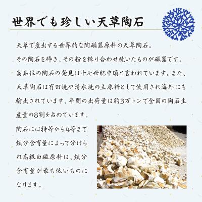 ふるさと納税 天草市 天草 高浜焼 楕円カレー皿 5枚セット(ゴールド)_S026-058 |  | 03