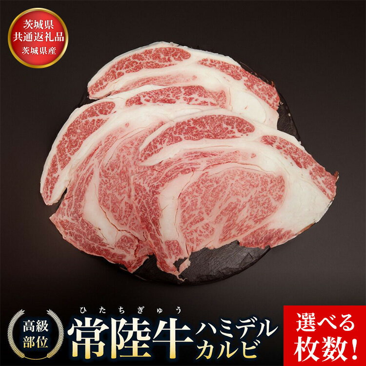 【ふるさと納税】【選べる枚数】【茨城県共通返礼品】茨城県産 ハミデルカルビ300g～1kg | カルビ カブリ 部位 ゲタ 中落カルビ リブ芯 リブ巻き 希少部位 高級部位 リブロース 牛肉 牛 大きい とろける 甘み はみでる
