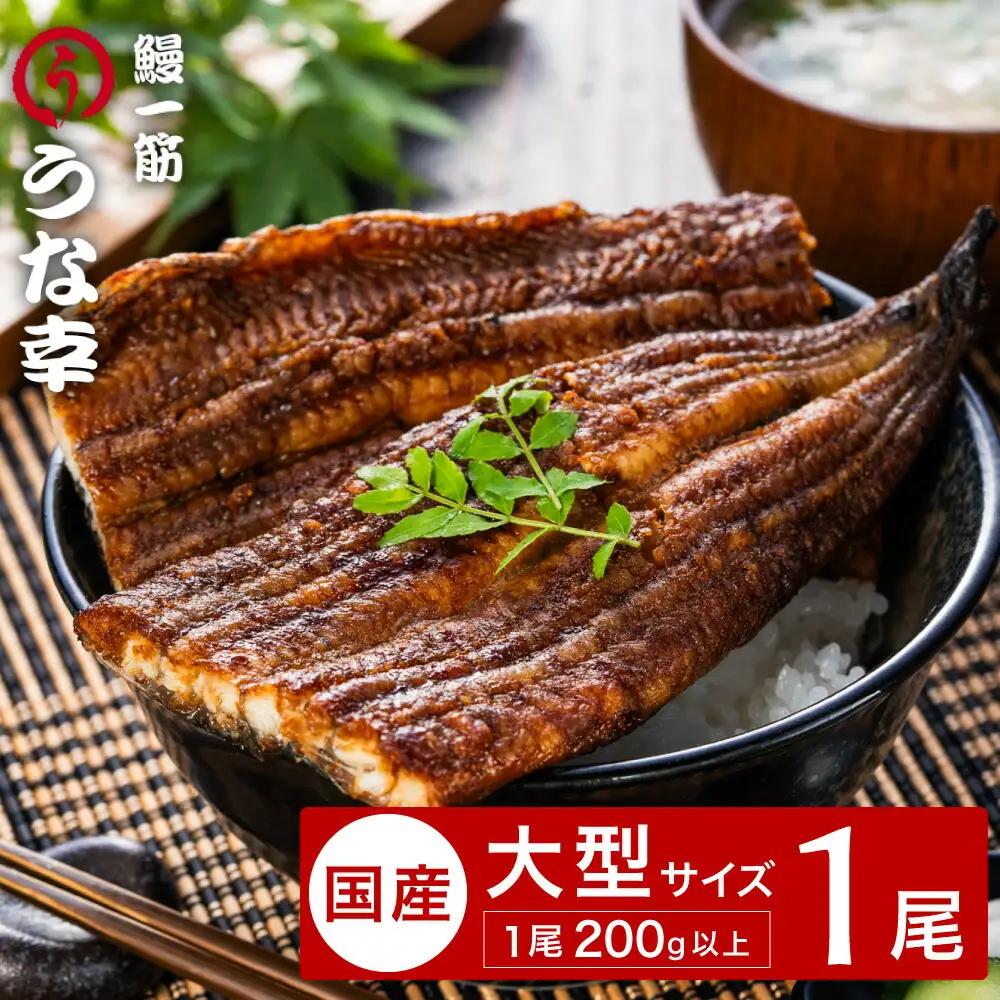 うな幸 国産うなぎ ふわとろ蒲焼き 大型1尾 特製タレ・山椒付き